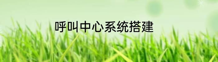 呼叫中心系统搭建