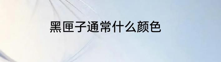 黑匣子通常什么颜色