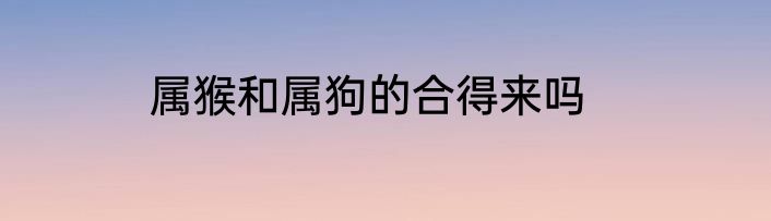 属猴和属狗的合得来吗