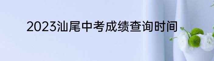 2023汕尾中考成绩查询时间