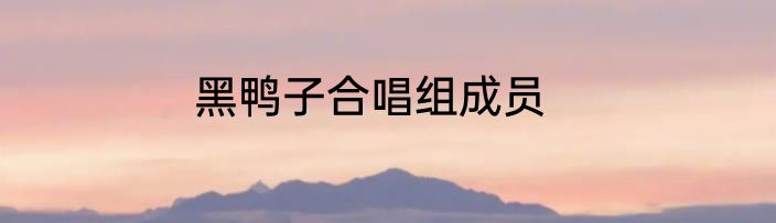 黑鸭子合唱组成员
