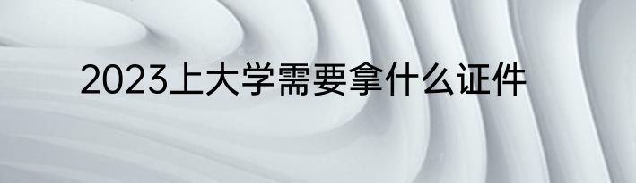 2023上大学需要拿什么证件