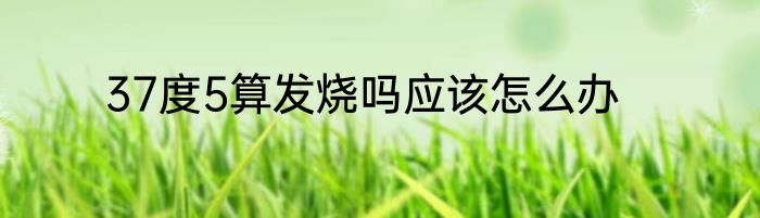 37度5算发烧吗应该怎么办