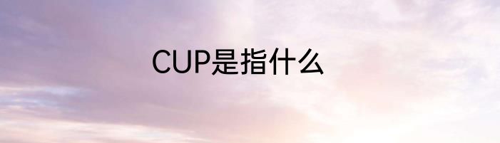 CUP是指什么
