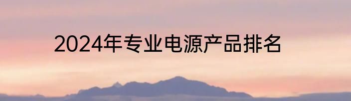 2024年专业电源产品排名