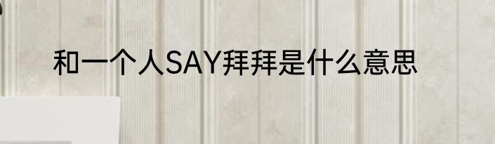 和一个人SAY拜拜是什么意思