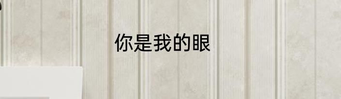你是我的眼