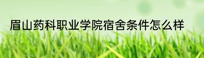 眉山药科职业学院宿舍条件怎么样