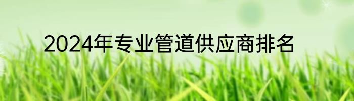 2024年专业管道供应商排名