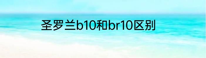圣罗兰b10和br10区别