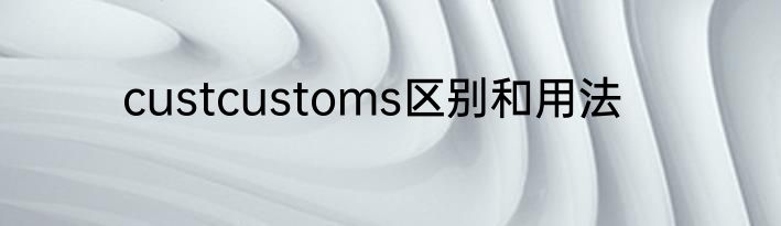 custcustoms区别和用法