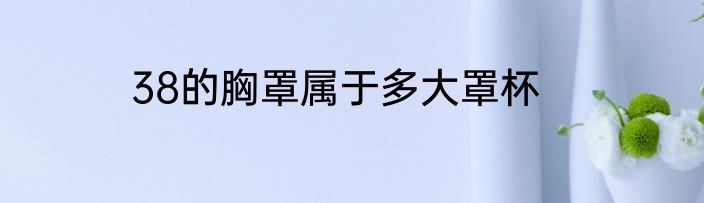 38的胸罩属于多大罩杯