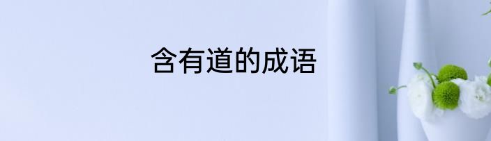 含有道的成语