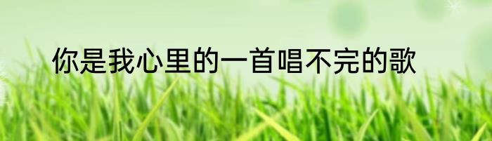 你是我心里的一首唱不完的歌