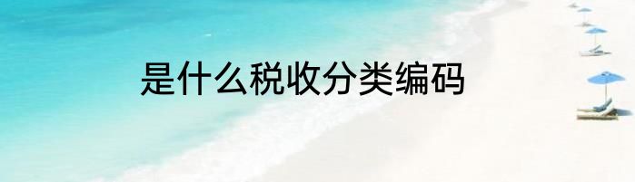 是什么税收分类编码