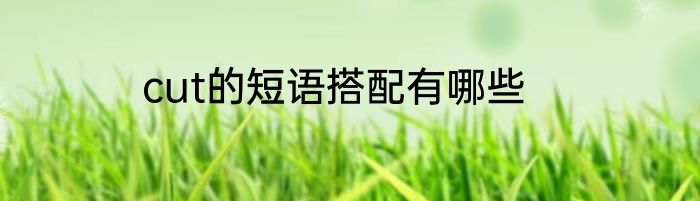 cut的短语搭配有哪些