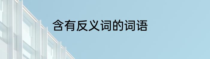含有反义词的词语