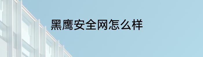 黑鹰安全网怎么样