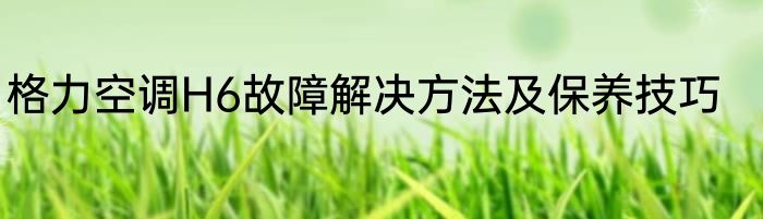 格力空调H6故障解决方法及保养技巧