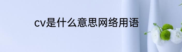 cv是什么意思网络用语