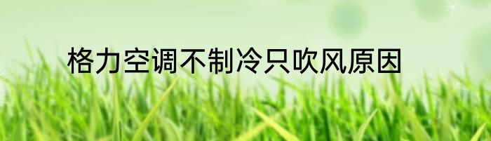 格力空调不制冷只吹风原因