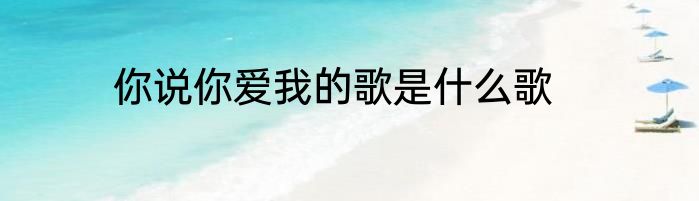 你说你爱我的歌是什么歌