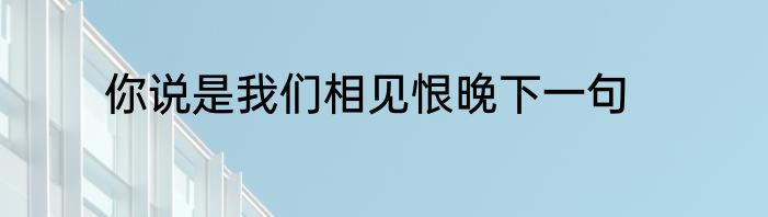 你说是我们相见恨晚下一句