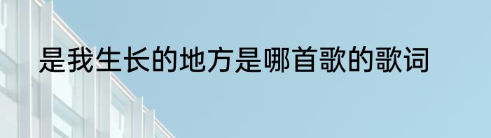 是我生长的地方是哪首歌的歌词