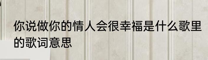 你说做你的情人会很幸福是什么歌里的歌词意思