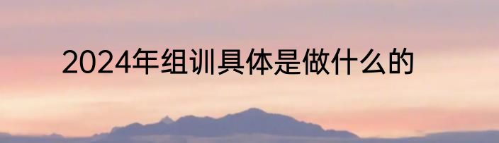 2024年组训具体是做什么的