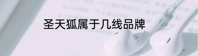 圣天狐属于几线品牌