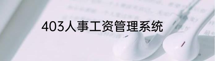 403人事工资管理系统