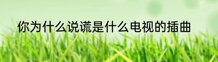 你为什么说谎是什么电视的插曲