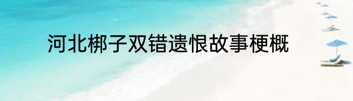 河北梆子双错遗恨故事梗概