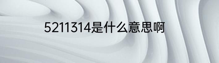 5211314是什么意思啊