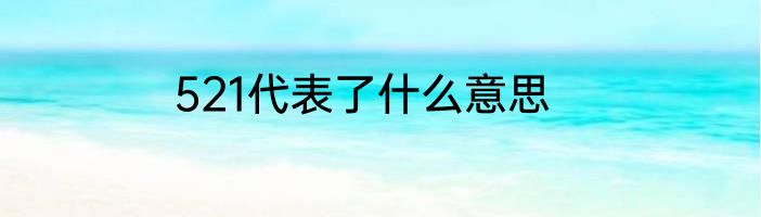 521代表了什么意思