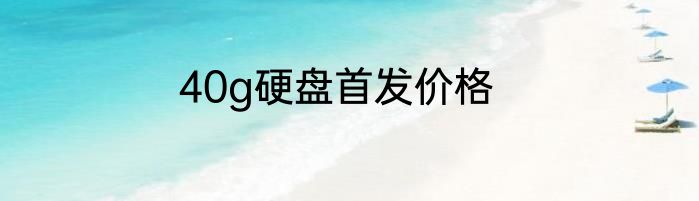40g硬盘首发价格