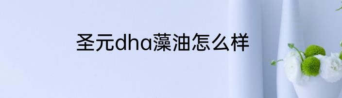 圣元dha藻油怎么样