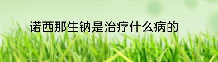 诺西那生钠是治疗什么病的
