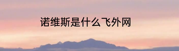 诺维斯是什么飞外网