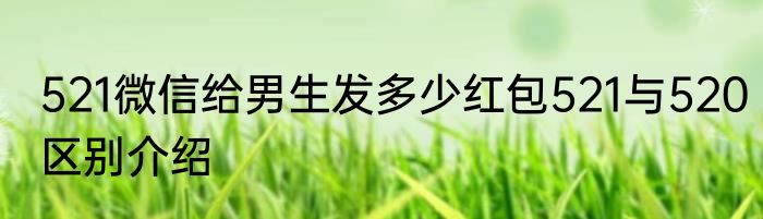 521微信给男生发多少红包521与520区别介绍