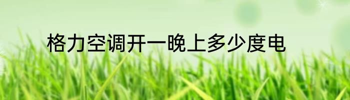 格力空调开一晚上多少度电