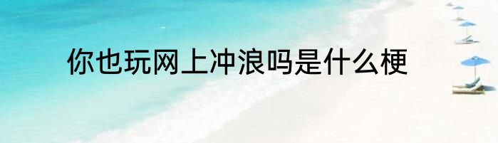 你也玩网上冲浪吗是什么梗