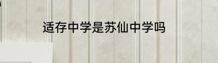适存中学是苏仙中学吗