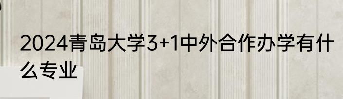 2024青岛大学3+1中外合作办学有什么专业