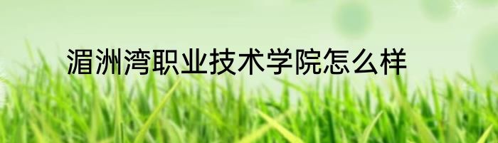 湄洲湾职业技术学院怎么样