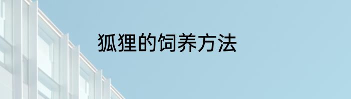 狐狸的饲养方法