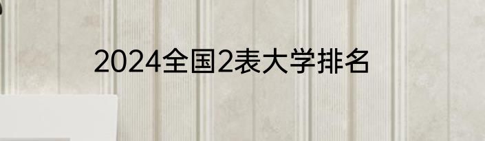 2024全国2表大学排名