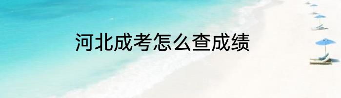 河北成考怎么查成绩