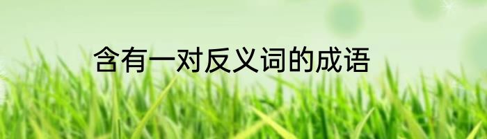 含有一对反义词的成语